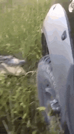 Acid GIFs, June 10 (25 gifs)