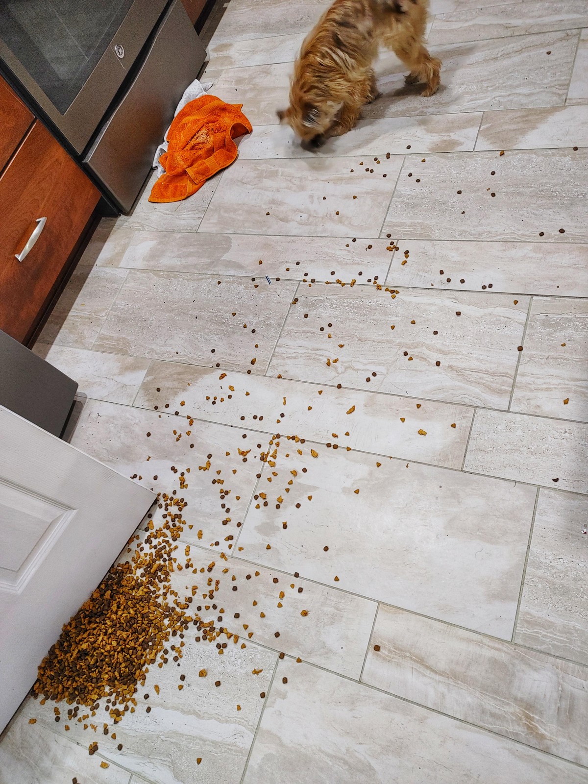 Bad Days Happen (33 pics)
