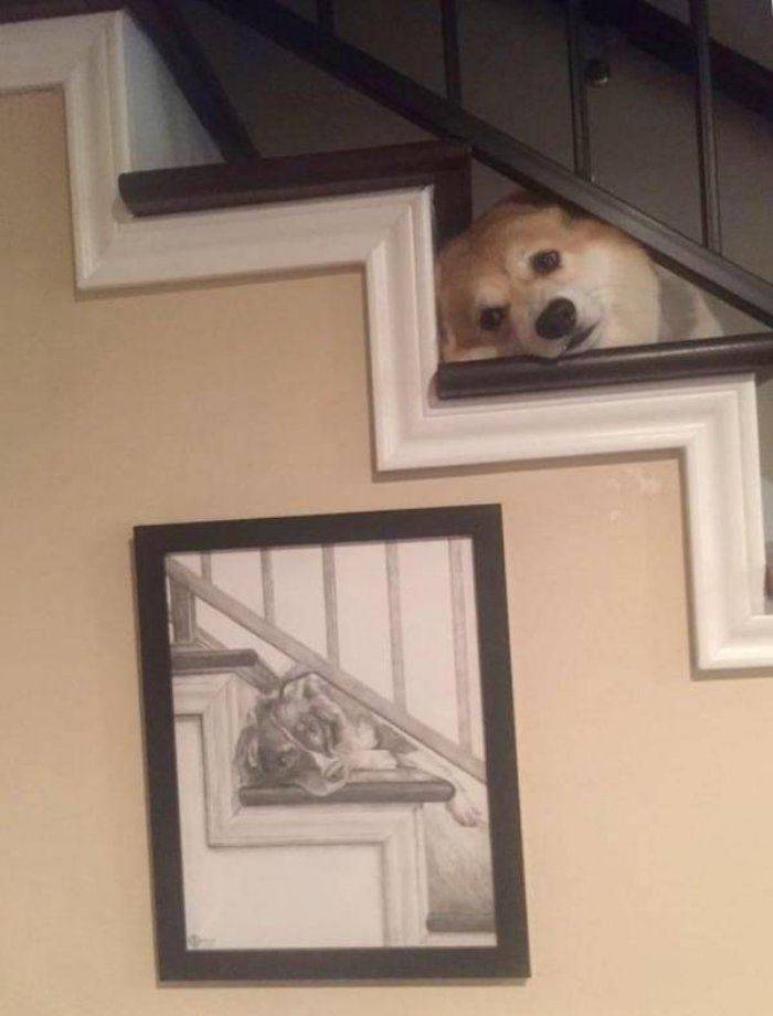 Daily Pictures. Part 1 (80 pics)