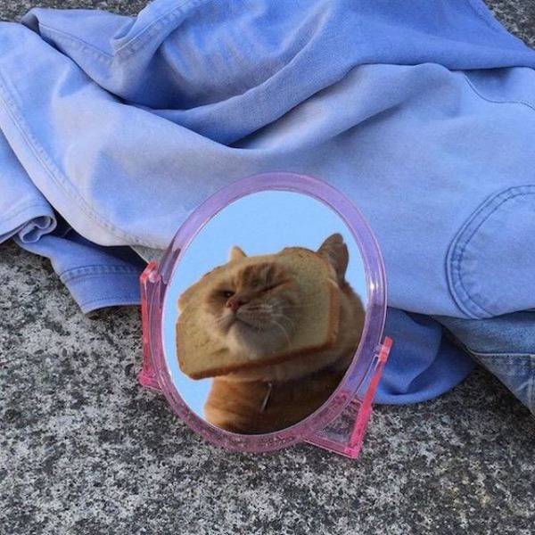 Daily Pictures. Part 2 (79 pics)