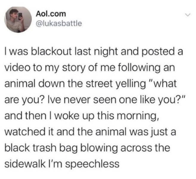 Daily Pictures. Part 2 (79 pics)