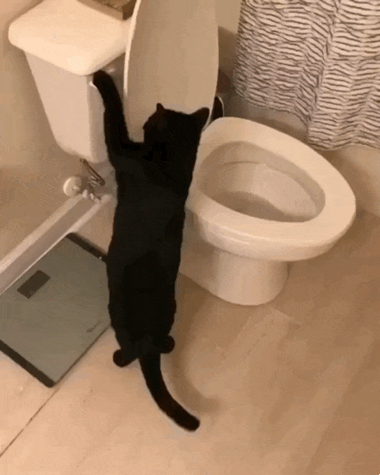 Acid GIFs, June 11 (25 gifs)