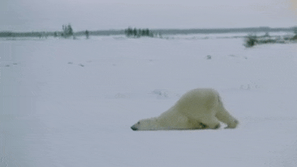 Acid GIFs, June 11 (25 gifs)