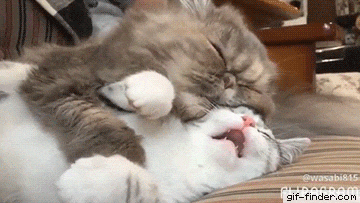 Acid GIFs, June 11 (25 gifs)