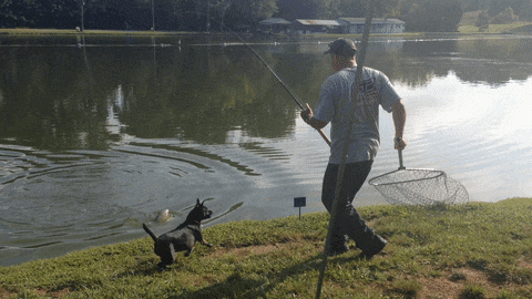 Acid GIFs, June 11 (25 gifs)
