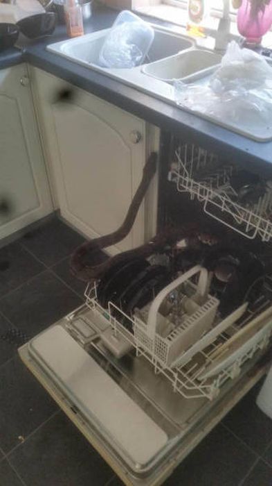 Creepy Photos (21 pics) Creepy Photos (21 pics)