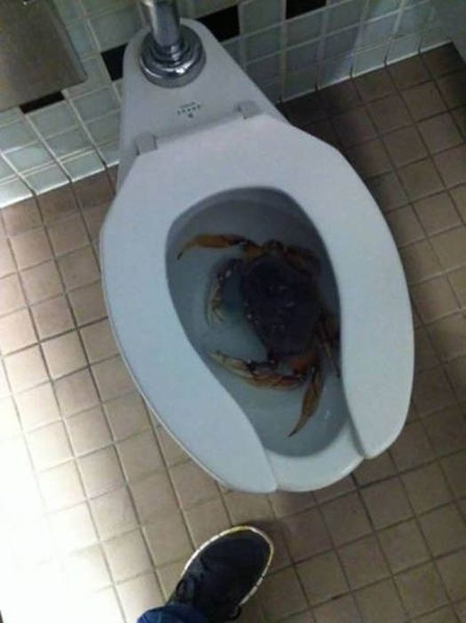 Creepy Photos (21 pics) Creepy Photos (21 pics)