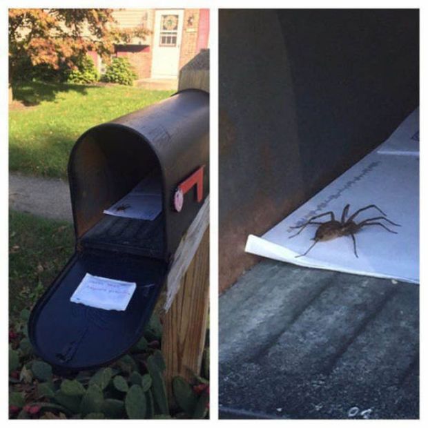 Creepy Photos (21 pics) Creepy Photos (21 pics)