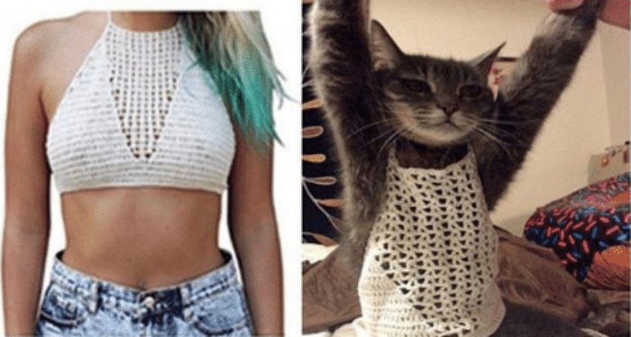 Failed Purchases (16 pics)