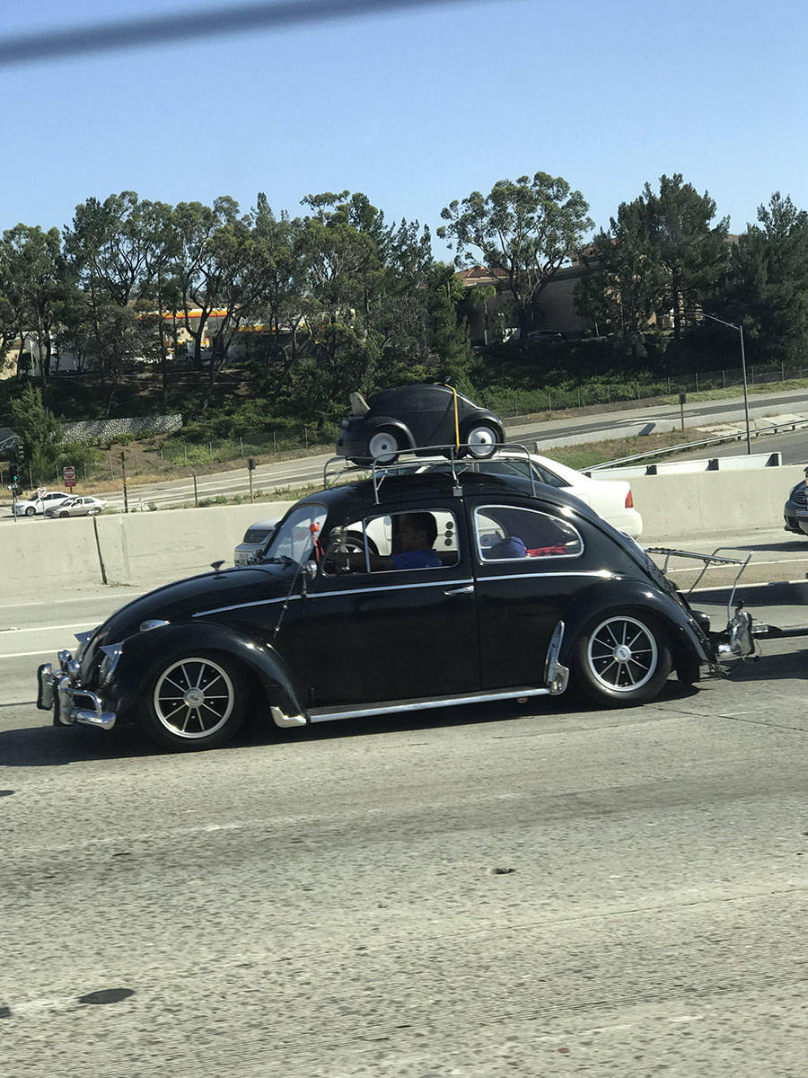 Daily Pictures. Part 1 (70 pics)