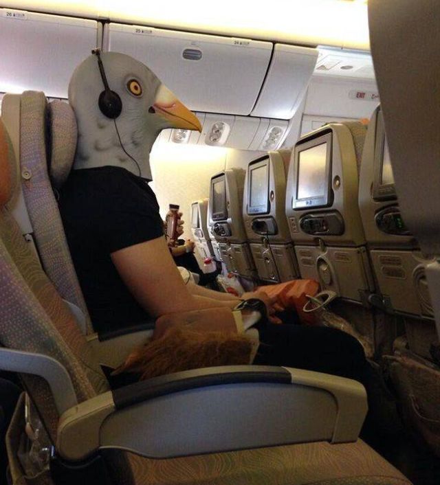 Daily Pictures. Part 2 (69 pics)