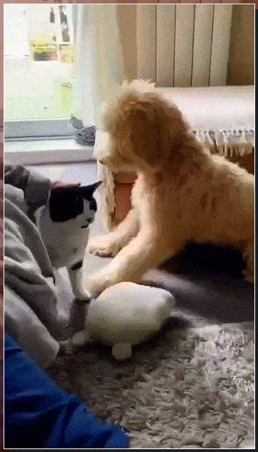 Acid GIFs, June 12 (25 gifs)
