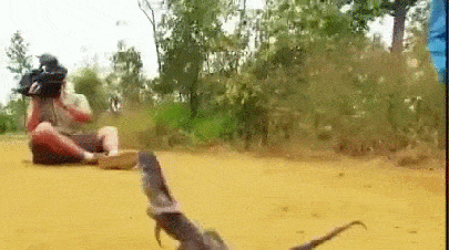 Acid GIFs, June 12 (25 gifs)
