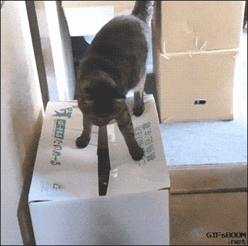 Acid GIFs, June 12 (25 gifs)