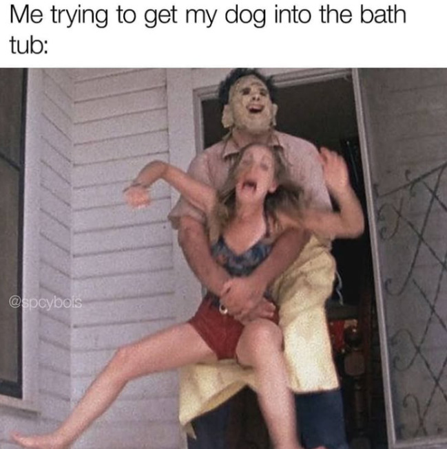 Funny Memes (23 pics)