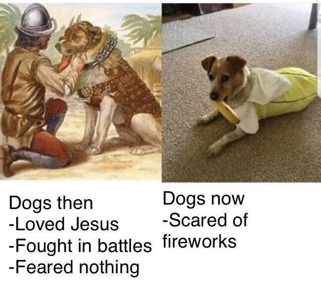 Historical Memes (23 pics) Historical Memes (23 pics)