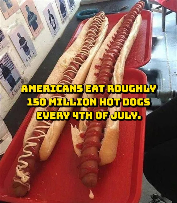Random Facts (17 pics)