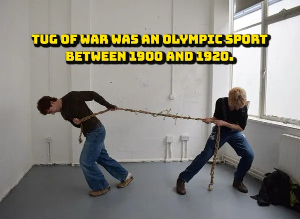 Random Facts (17 pics)