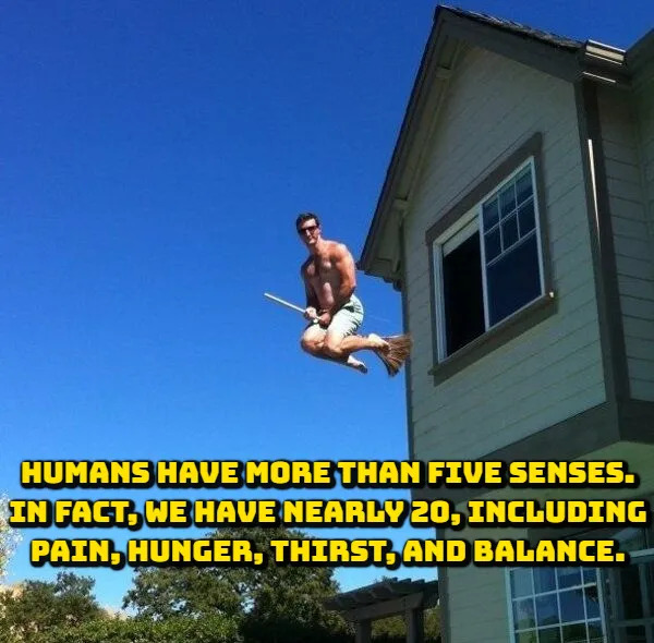 Random Facts (17 pics)