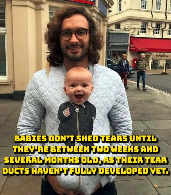 Random Facts (17 pics)