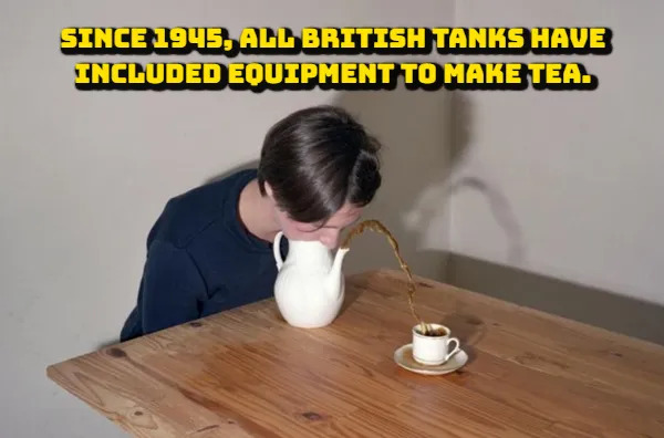 Random Facts (17 pics)