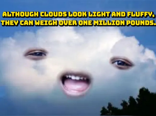 Random Facts (17 pics)