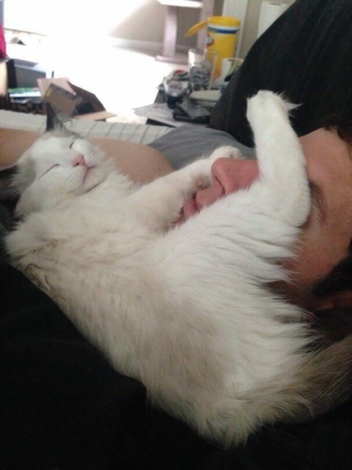They Can Sleep Anywhere (25 pics)