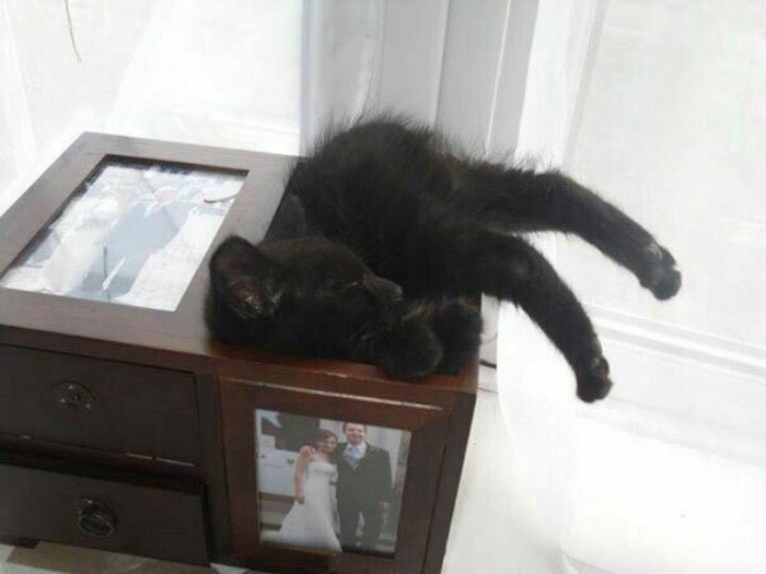 They Can Sleep Anywhere (25 pics)
