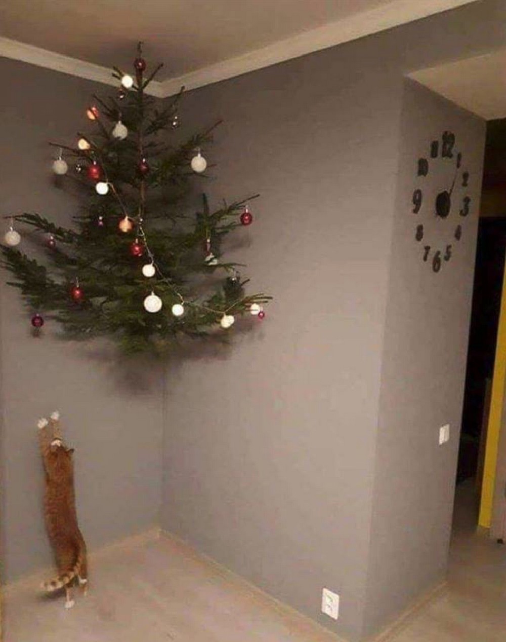 Redneck Inventions And Repairs (25 pics)