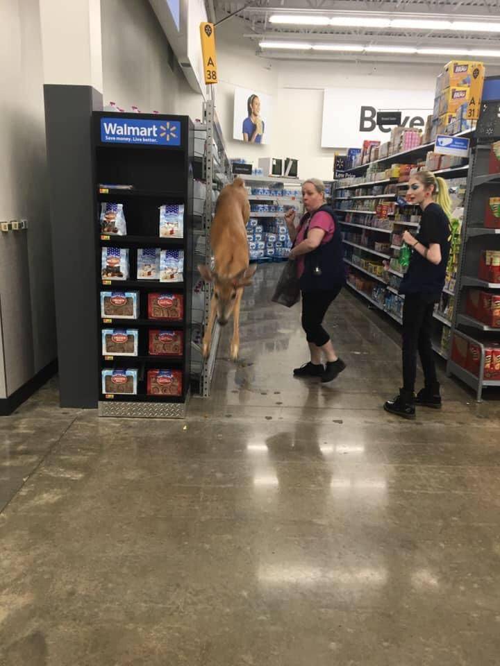 Daily Pictures. Part 1 (76 pics)