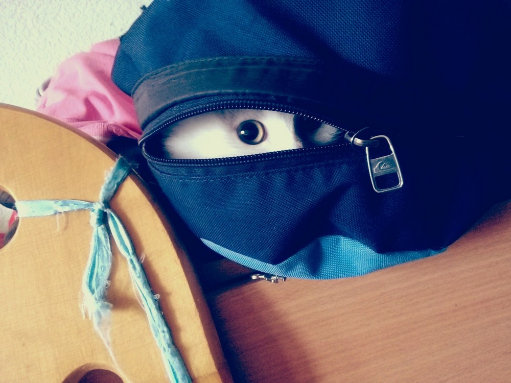Daily Pictures. Part 1 (76 pics)