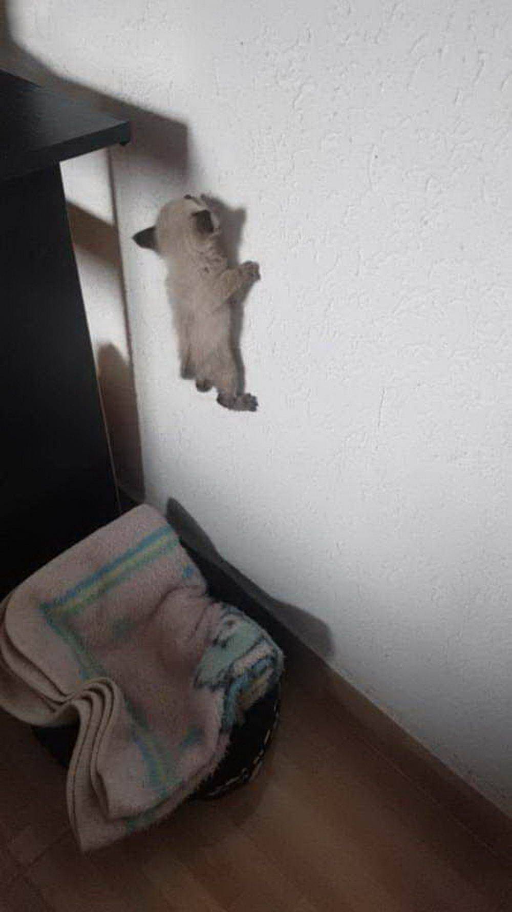 Daily Pictures. Part 1 (76 pics)
