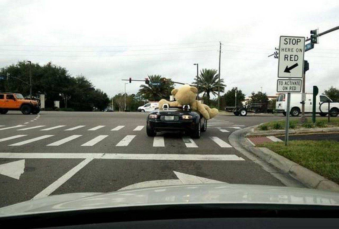 Daily Pictures. Part 2 (75 pics)