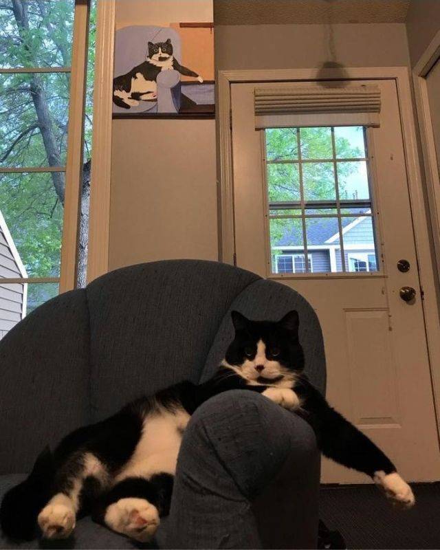 Daily Pictures. Part 1 (76 pics)