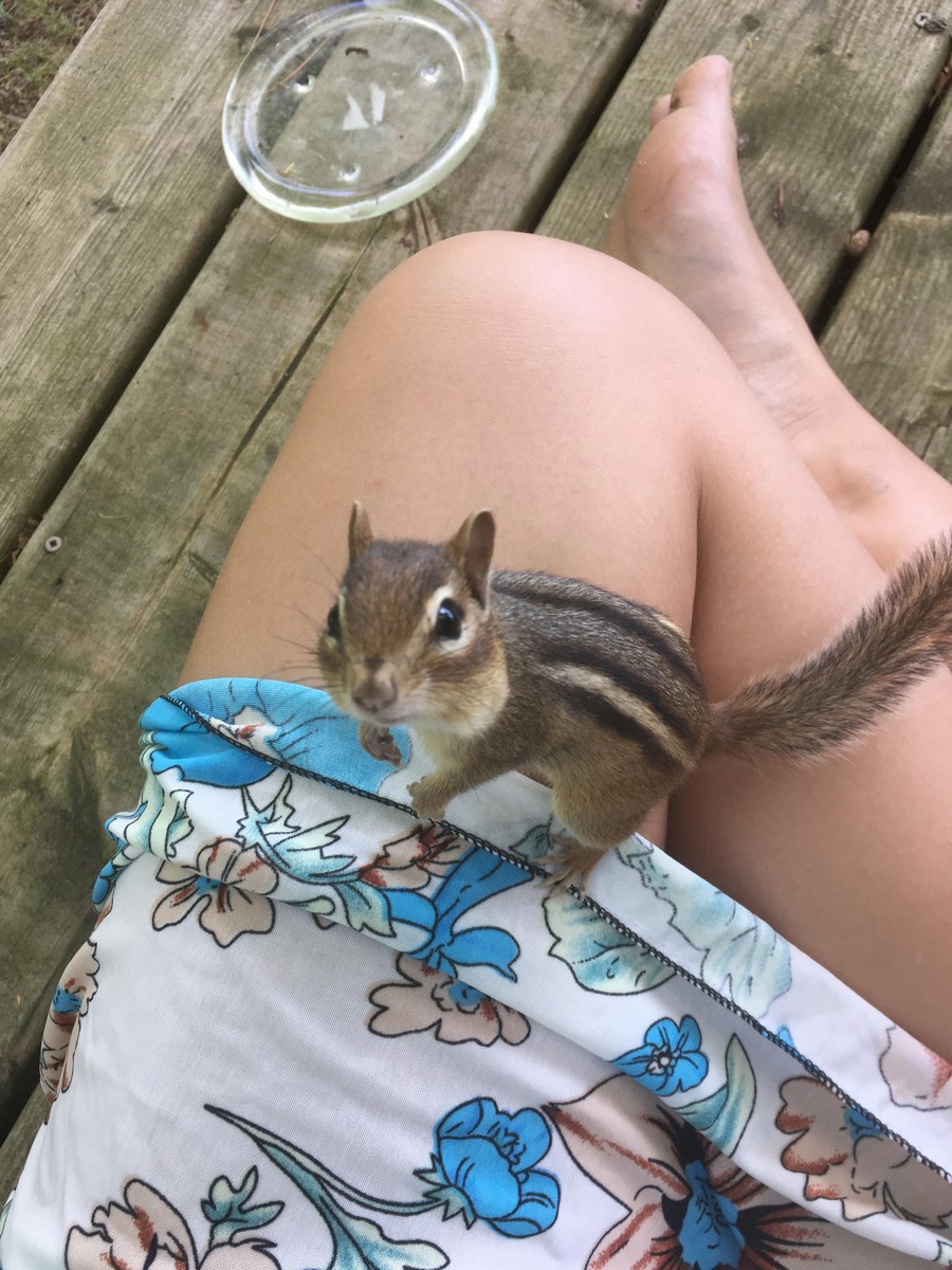 Daily Pictures. Part 2 (75 pics)