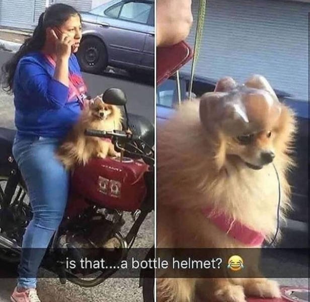 Daily Pictures. Part 2 (75 pics)