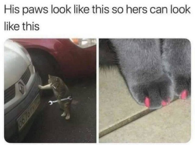 Daily Pictures. Part 2 (75 pics)