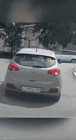 Acid GIFs, June 15 (25 gifs)