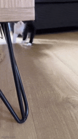 Acid GIFs, June 15 (25 gifs)
