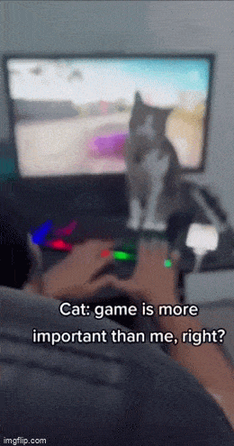 Acid GIFs, June 15 (25 gifs)