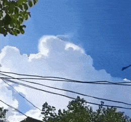 Acid GIFs, June 15 (25 gifs)