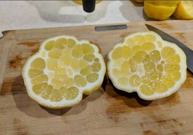 Photos For Perfectionists (27 pics)