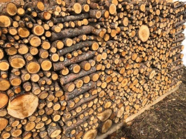 Photos For Perfectionists (27 pics)