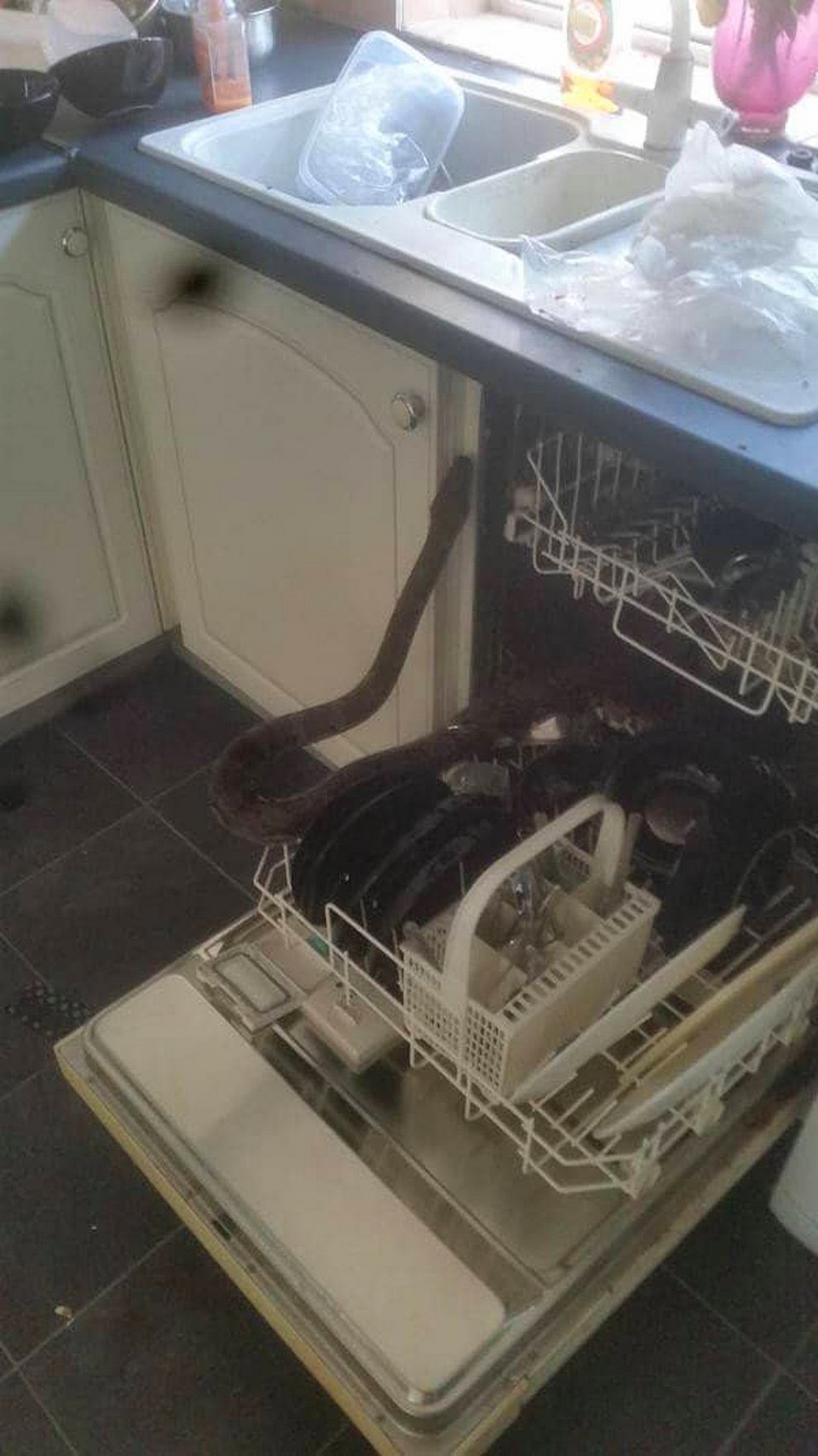 Unfortunate Situations (25 pics)