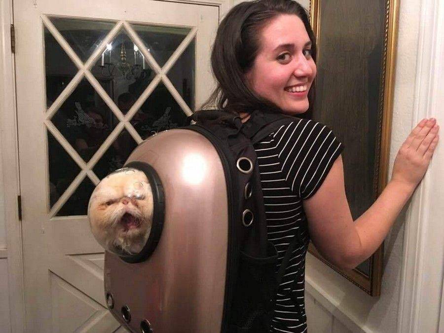 Daily Pictures. Part 1 (70 pics)