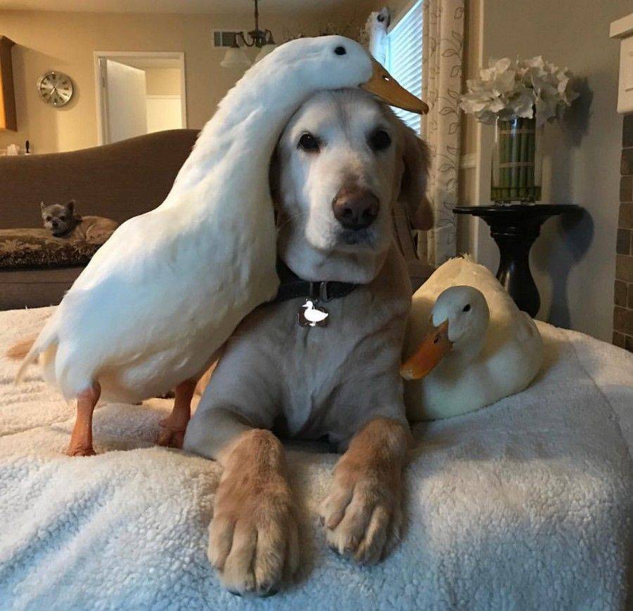 Daily Pictures. Part 1 (70 pics)