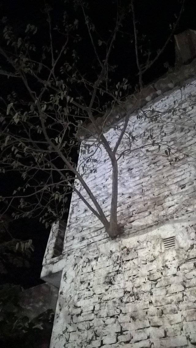 Daily Pictures. Part 1 (70 pics)