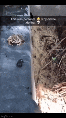 Acid GIFs, June 16 (25 gifs)