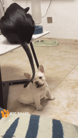 Acid GIFs, June 16 (25 gifs)