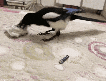 Acid GIFs, June 16 (25 gifs)